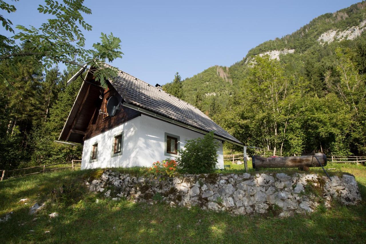 Holiday Home Voje Bohinj Luaran gambar